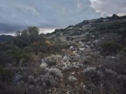 Sisi Kreta, Sisi: Gruppe benachbarter Grundstücke mit Meerblick zu verkaufen Grundstück kaufen